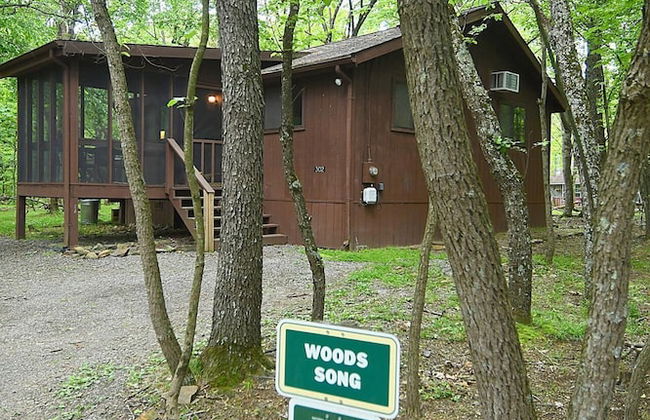 Woods Song - Natures Promise - Foto 23