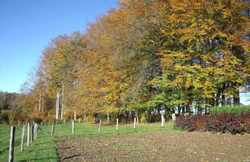 Gîte Les Hirondelles - Foto 67