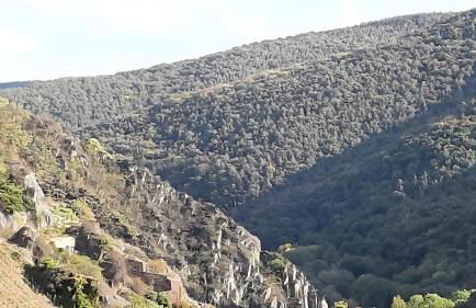Ferienwohnung Schatzkammer - Foto 13