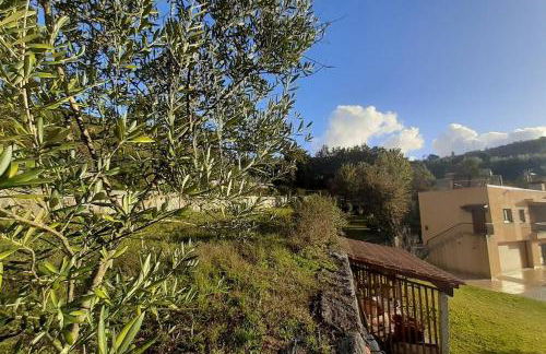 Cavado's heights Braga - Photo 25