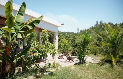 MOBA - Monte do Barranquinho - Foto 53