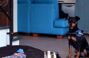 La Casetta Varenna - Foto 19