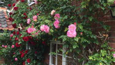 Rose Cottage - Foto 2