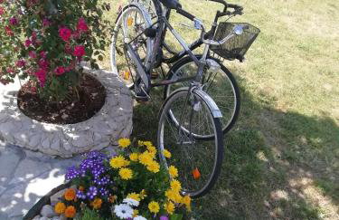 Nikini dvori - Foto 7