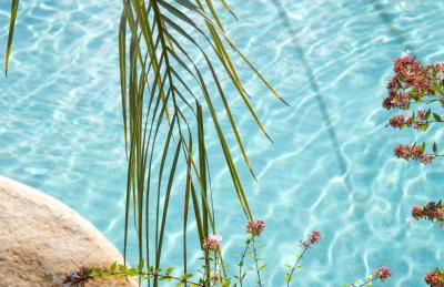 Lecci e Murta - Foto 44