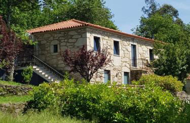 Trebid'Ouro - Foto 13