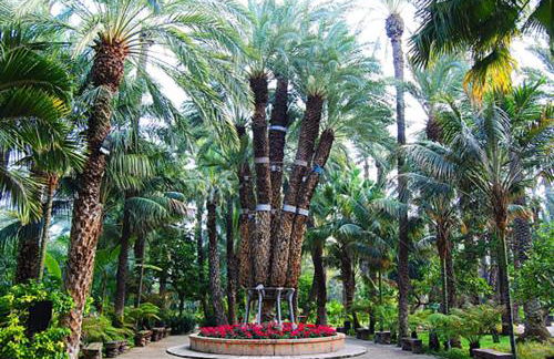 Piso Centro Elche junto Basílica - Foto 20