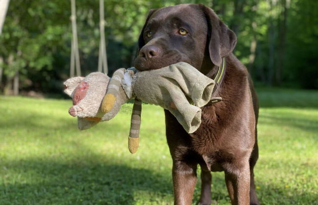 Countryside Apartment Near the Lake - Foto 17
