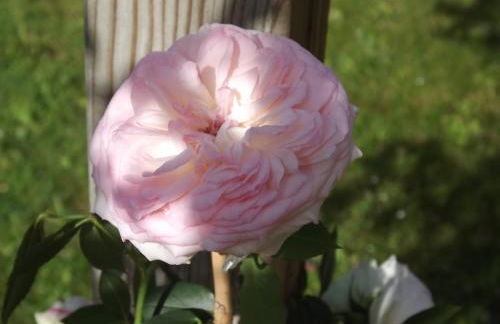 Appart'hotel Maison Saint Michel - Photo 64