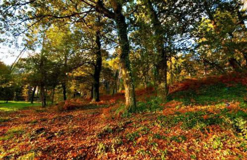 Casas do Ermo - Ermo Villas - Foto 20