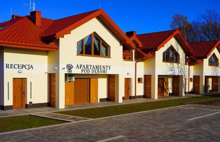 Apartamenty pod Dębami - noclegi Beskid Niski - Foto 29