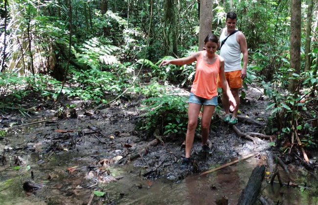 Excursión de un día al lago Khao Sok - Foto 6