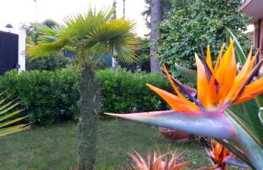 Villa Etna - Foto 34