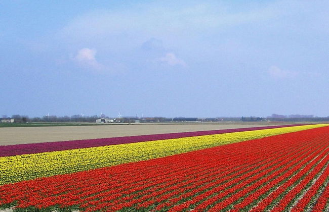 Holiday Apartment Zonnewende 16 - Foto 17