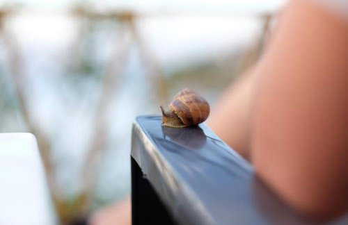 Apartments Stokic - Foto 36