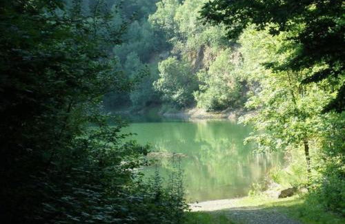 Ferienwohnung Irmgard und Ferienwohnung Gerlinde - Foto 31