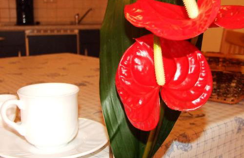 Ferienwohnungen Am Seeufer 11 - Foto 16