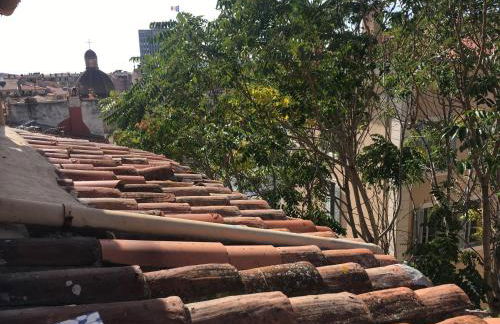 Au cœur du vieux Toulon au calme appartement rénové climatisé confortable étage élevé avec ascenseur proche parking et toutes commodités - Foto 23