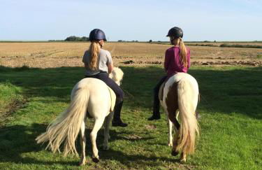 Tetenshof für Pferdeliebhaber - Foto 11