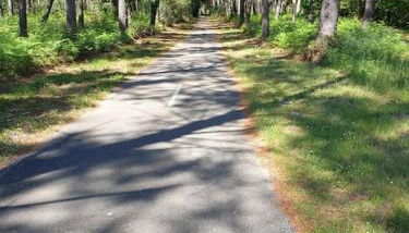 Maison récent proche du lac de Léon et de l'Océan - Foto 3