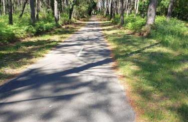 Maison récent proche du lac de Léon et de l'Océan - Foto 3