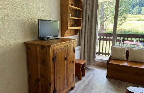 Studio Le P'tit Aigle pied des pistes et télécabine départ ski au pied - Photo 12