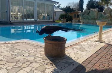 Residenza Nosy Be - Foto 79