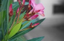 Casa Vacanze Le tre Sorelle - Foto 16