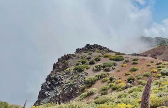 Apartment in La Punta de Tijarafe - Foto 20