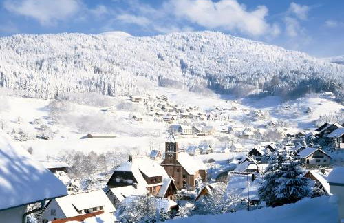 Wohnung mit Balkon im Schwarzwald - Foto 10