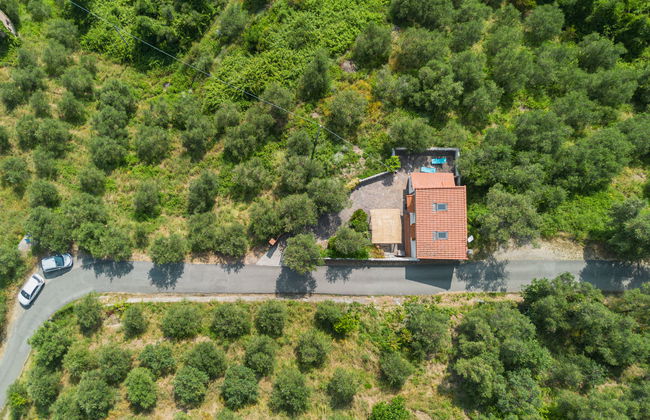 Casa Nueva - Foto 33