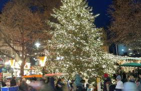 FeWo Sartorius am Hemsberg - Foto 35