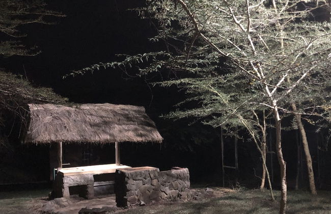 Isalaasha Bush Camp - Foto 60