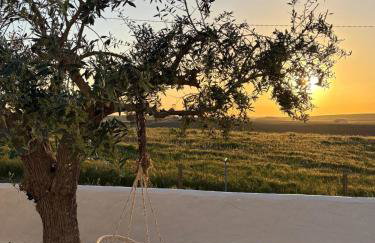 Canto da Planície - Photo 68