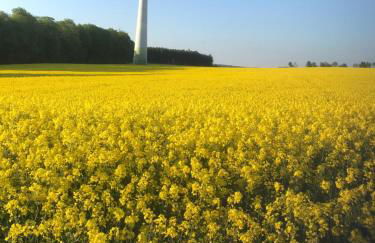 Ferienwohnung Am Reitersgäßchen - Foto 16