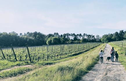 Villa Oliviana - Foto 70