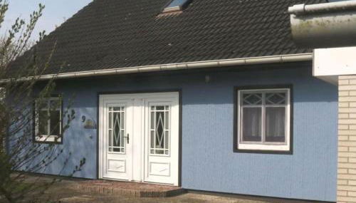 Haus-Austernfischer - Foto 4