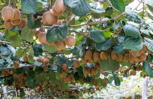 Agriturismo Terra Sabina - Foto 147