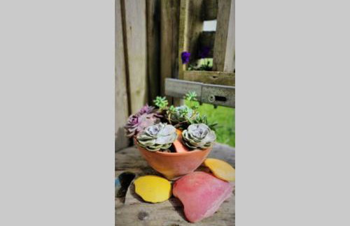 The Bolt Hole - Foto 13