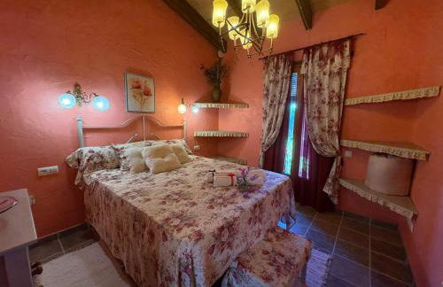 Lo Racó de Peret - Foto 42