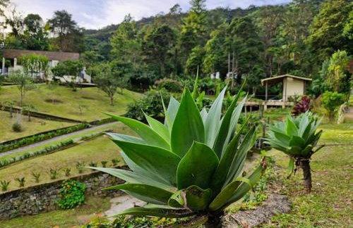 Chácara em Nova Friburgo (espaço inteiro) - Foto 19