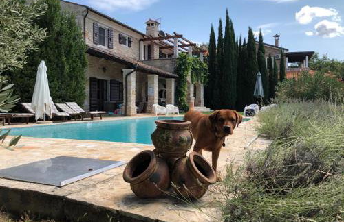 Villa Oliva Istria - Foto 53