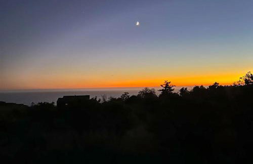 Wild Meadow - Photo 18