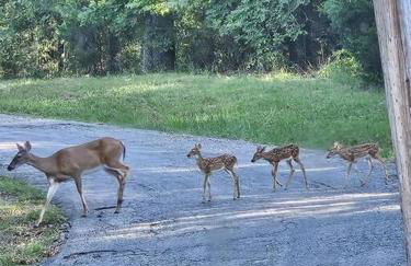 My Hideaways Serinity Hill - Foto 1