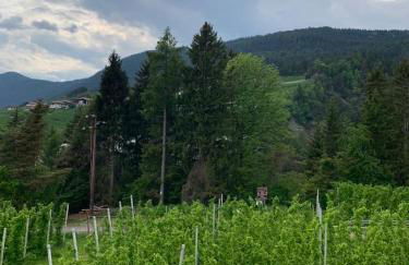 Agritur Maso Forcola - Photo 11