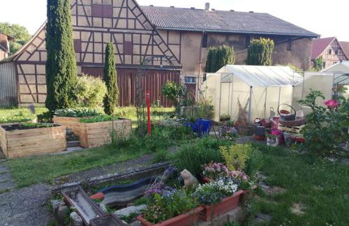 Ferienwohnungen Waldmann - Foto 17