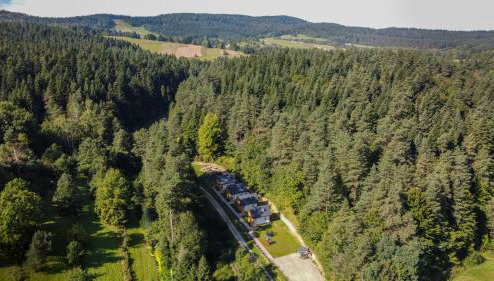 Domki Zew Natury - Foto 1