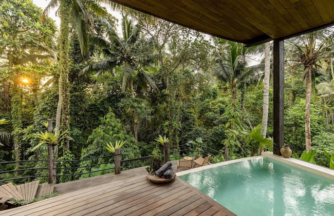 Casa Pohon Ubud - Foto 35