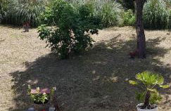 Appartement F2 tout confort **** - Foto 31