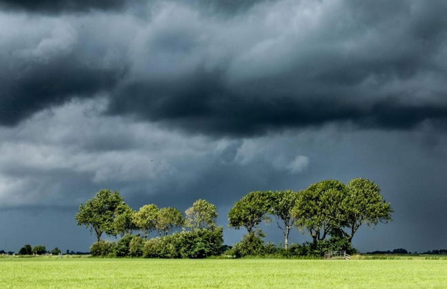Bungalow in Makkum Near Lake Beach - Foto 38